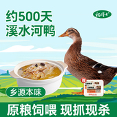 杨博士溪水河鸭放养正宗土鸭老鸭子新鲜现杀整只鲜鸭炖汤食材