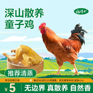 杨博士童子鸡正宗皖南散养未打鸣公鸡土鸡仔公鸡农家放养小公鸡
