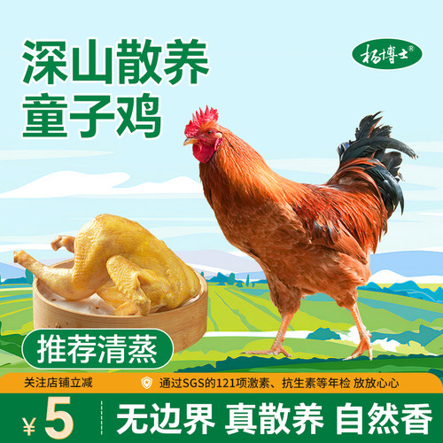 杨博士童子鸡正宗皖南散养未打鸣公鸡土鸡仔公鸡农家放养小公鸡