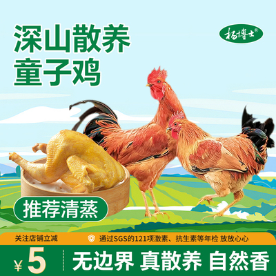 杨博士童子鸡正宗皖南散养土鸡小公鸡整只鸡生鲜鸡肉清蒸食材