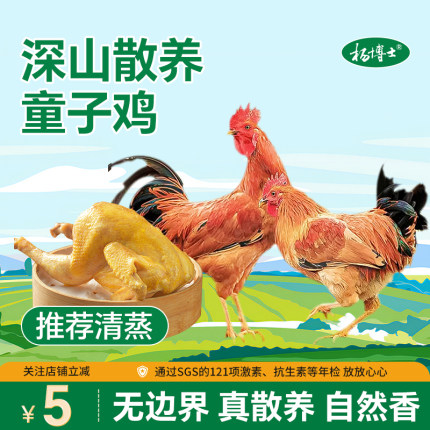 杨博士童子鸡正宗皖南散养土鸡小公鸡整只鸡生鲜鸡肉清蒸食材