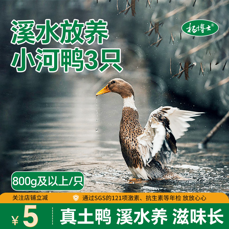 杨博士小河鸭3只皖南溪水农家放养正宗土鸭鸭子新鲜麻鸭鸭肉