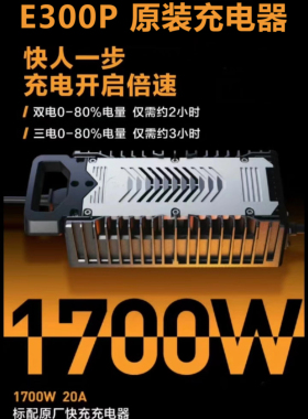 适用9号电摩E300P原装充电器1700w 20a电源适配器电源线快充