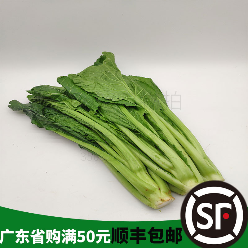 新鲜500g家常健康春菜
