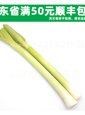 新鲜西餐用菜 西大蒜 西蒜  LEEK 餐厅同城配送500g （大小条随机