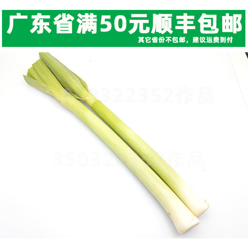 新鲜西餐用菜 西大蒜 西蒜  LEEK 餐厅同城配送500g （大小条随机
