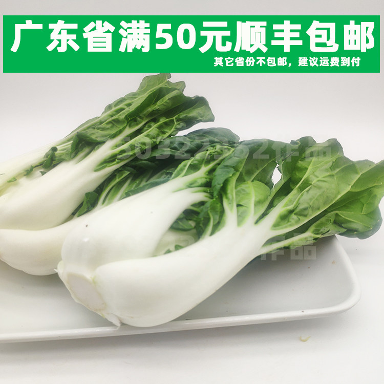 新鲜白菜 奶白菜 奶油白菜 400g 蔬菜 白菜仔 小白菜 同城配送