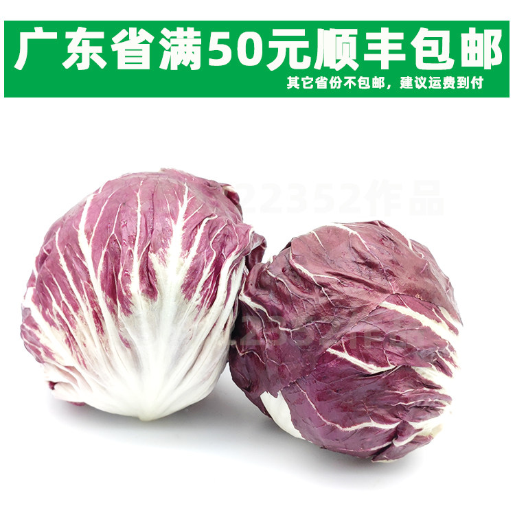 新鲜蔬菜500克 落地球生菜 意大利 红菊苣 紫苣 球形 红杂 沙拉菜