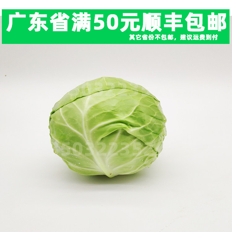 5斤 卷心菜 包菜 圆白菜 京包菜 圆椰菜 青包菜 小包菜