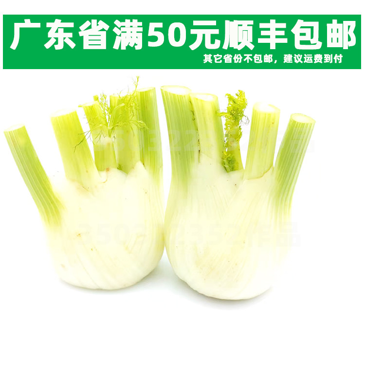 新鲜500g蔬菜 西餐配菜 香料 茴香头 水仙头 球茎茴香 西餐配料 - 实物图