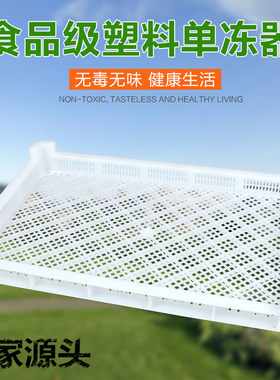 加厚单冻器家用仓库烘干网格盘多肉塑料框冰盘矮托盘晾晒架冷冻盘
