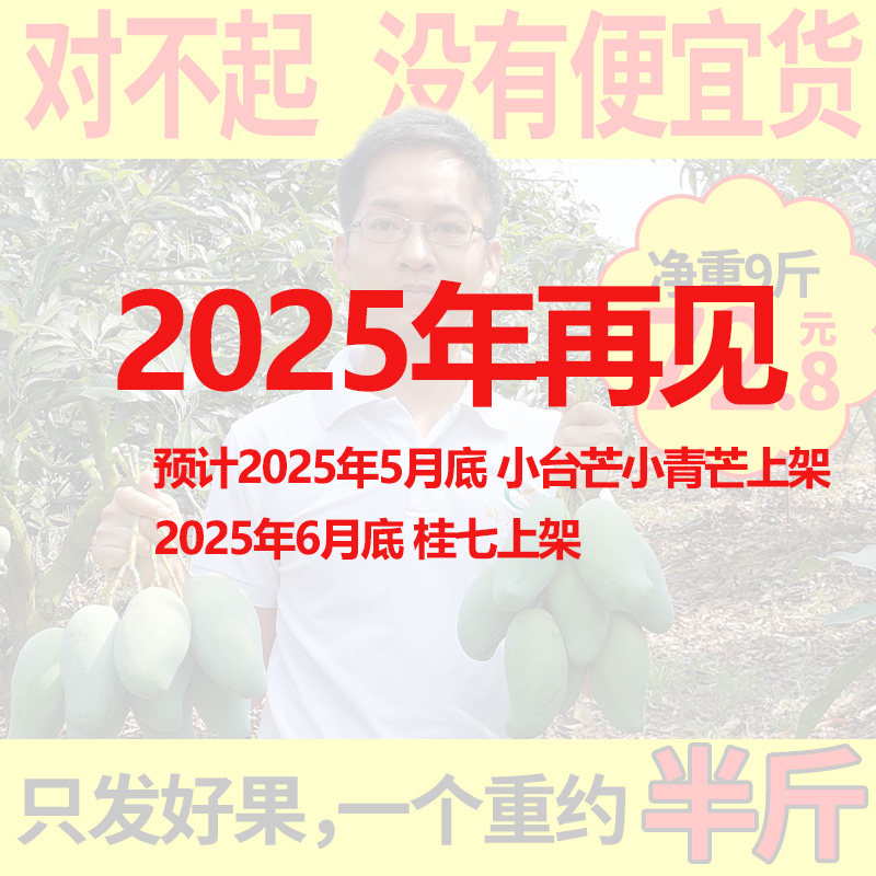 新鲜包邮广西百色田东桂七芒果