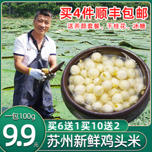 【9.9元】2020胥王鸡头米新鲜苏州 中粒100g 茨实冰冻非手剥芡实