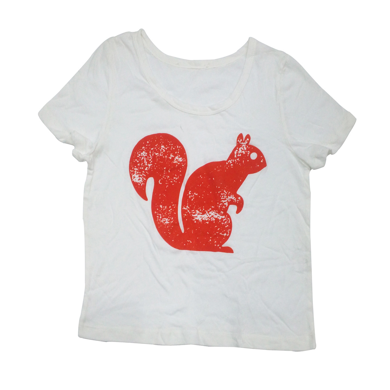 8-12岁女童夏季白色松鼠植绒印花全棉韩版宽松短款短袖T恤上衣