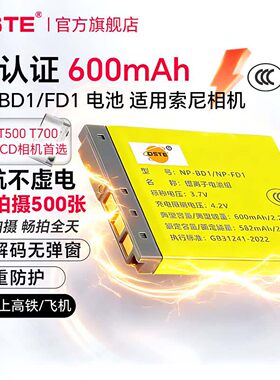 蒂森特NP-BD1索尼T700相机电池