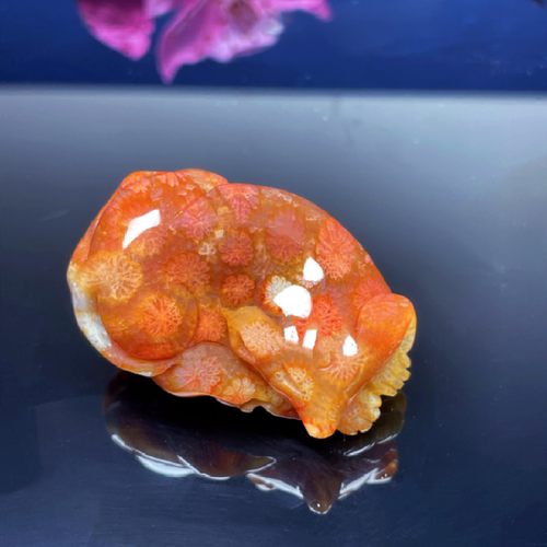 天然珊瑚玉九尾狐吊坠旺桃花礼物