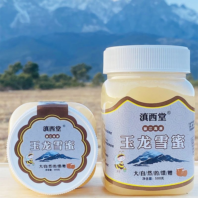 滇西堂 丽江高原玉龙雪蜜 紫云英原生态蜜自然结晶好喝净含量500g