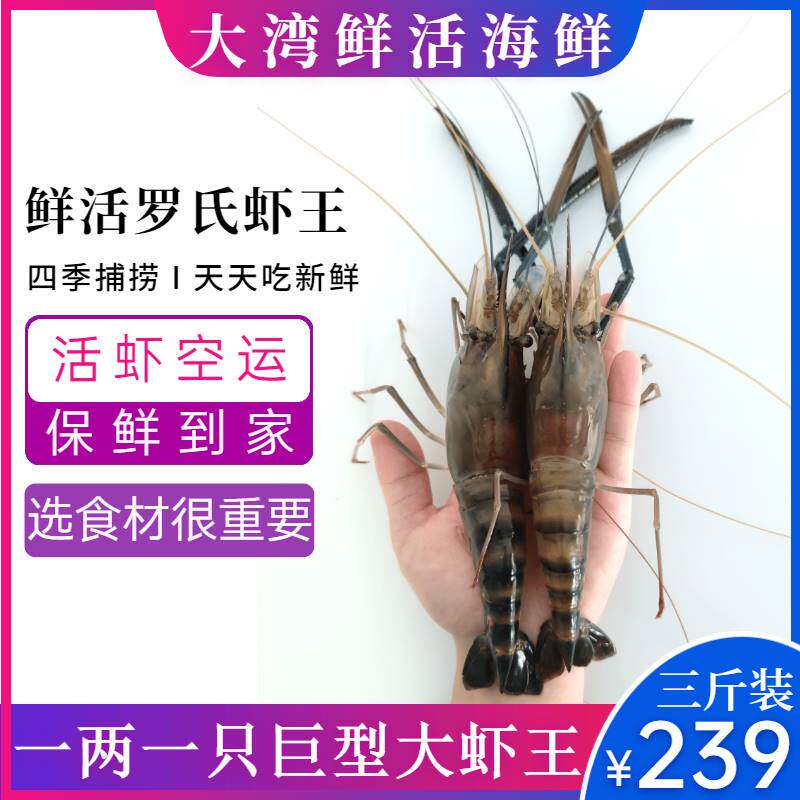 巨型罗氏虾鲜活超大一两一只新鲜特大虾王活体虾空运发货保鲜到家