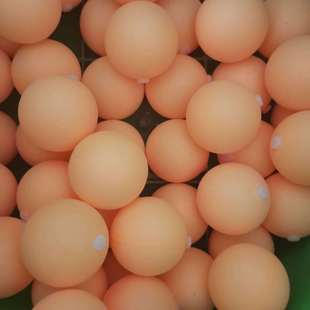 乒乓球训练器配件