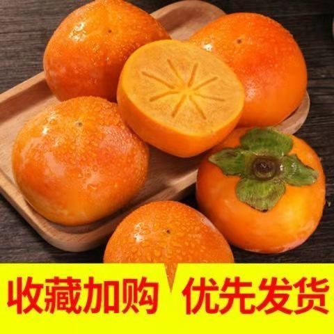 当季新鲜水果巧克力脆柿子硬柿子