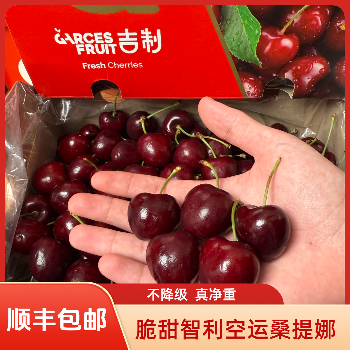 智利空运桑提娜车厘子J-4J1-5斤