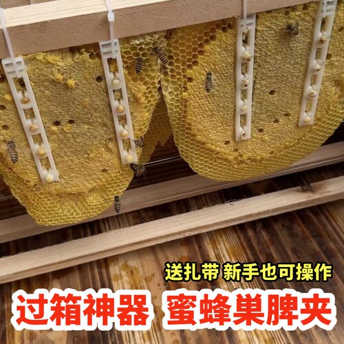 顶格导础夹子巢脾夹野蜂过箱土养圆蜂桶夹脾塑料夹诱蜂绑脾条固定