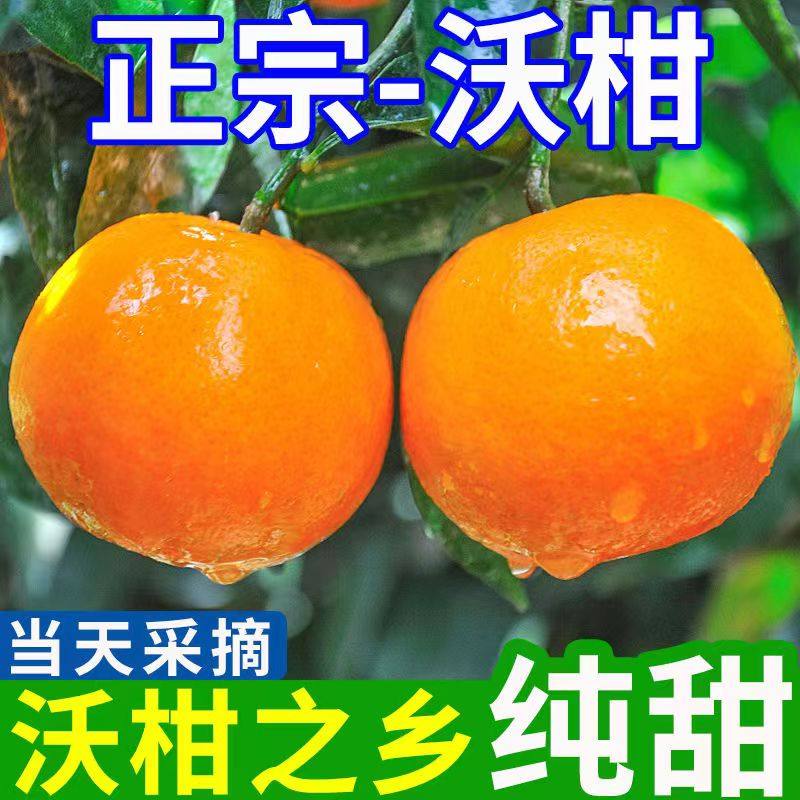 沃柑10斤新鲜水果当季纯甜无渣柑橘子丑八怪柑子耙耙皇帝蜜柑现摘
