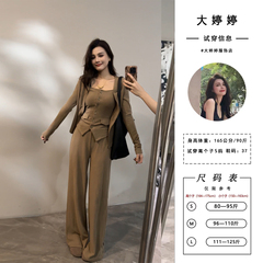 大婷婷 时尚显瘦纽扣内搭设计三件套加绒加厚秋冬套装DT1719