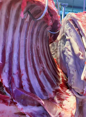 广东湛江徐闻黑山羊白山羊公羊阉羊 吃草散养 肉劲道新鲜羊肉