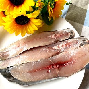 湛江乌石深海天然大马鲛鱼新鲜海南马交冰鲜冷冻中段大鲅鱼南海鱼