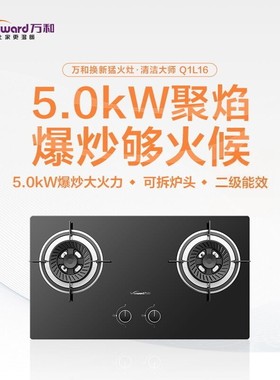 万和JZT-Q1L16燃气灶5.0KW猛火灶家用厨房煤气灶天然气灶台嵌两用