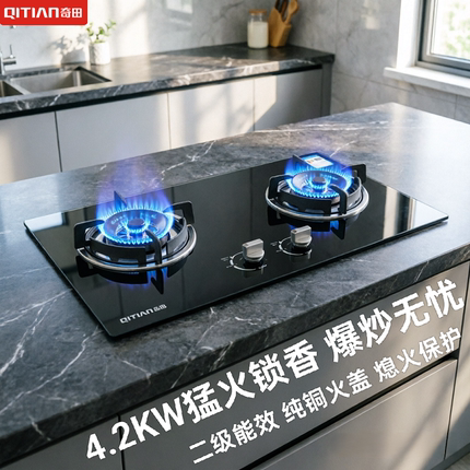 奇田 JZT-A-D2-2家用燃气灶天然气液化气双灶台嵌两用煤气灶绿标