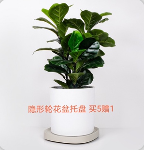 移动花盆托盘底座带轮万向轮花盘拖滚轮滑轮白色塑料隐藏隐形轮子