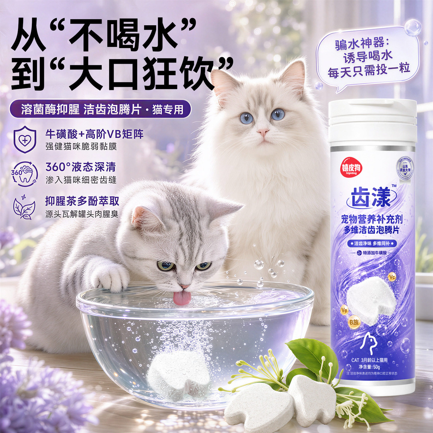 猫咪洁齿泡腾片宠物口腔