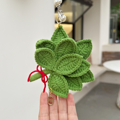 【肉丝同款】成品去晦气柚子叶