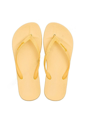 Ipanema依帕阿娜特经典人字拖女时尚凉拖夹脚拖鞋彩虹人字拖82591