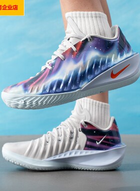 NIKE缓震篮球鞋男鞋夏季新款轻便训练鞋实战运动鞋IU2030