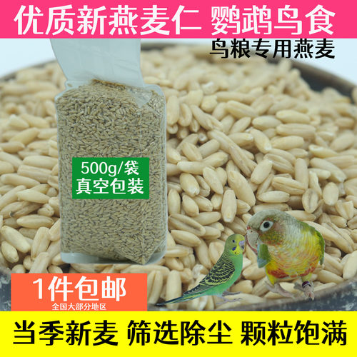 鹦鹉鸟粮澳洲燕麦仓鼠兔燕麦真空