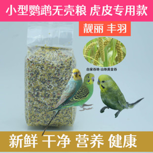 虎皮鹦鹉专用无壳鸟粮小型鹦鹉脱壳营养饲料娇凤鹦鹉去壳鸟鹦鹉粮