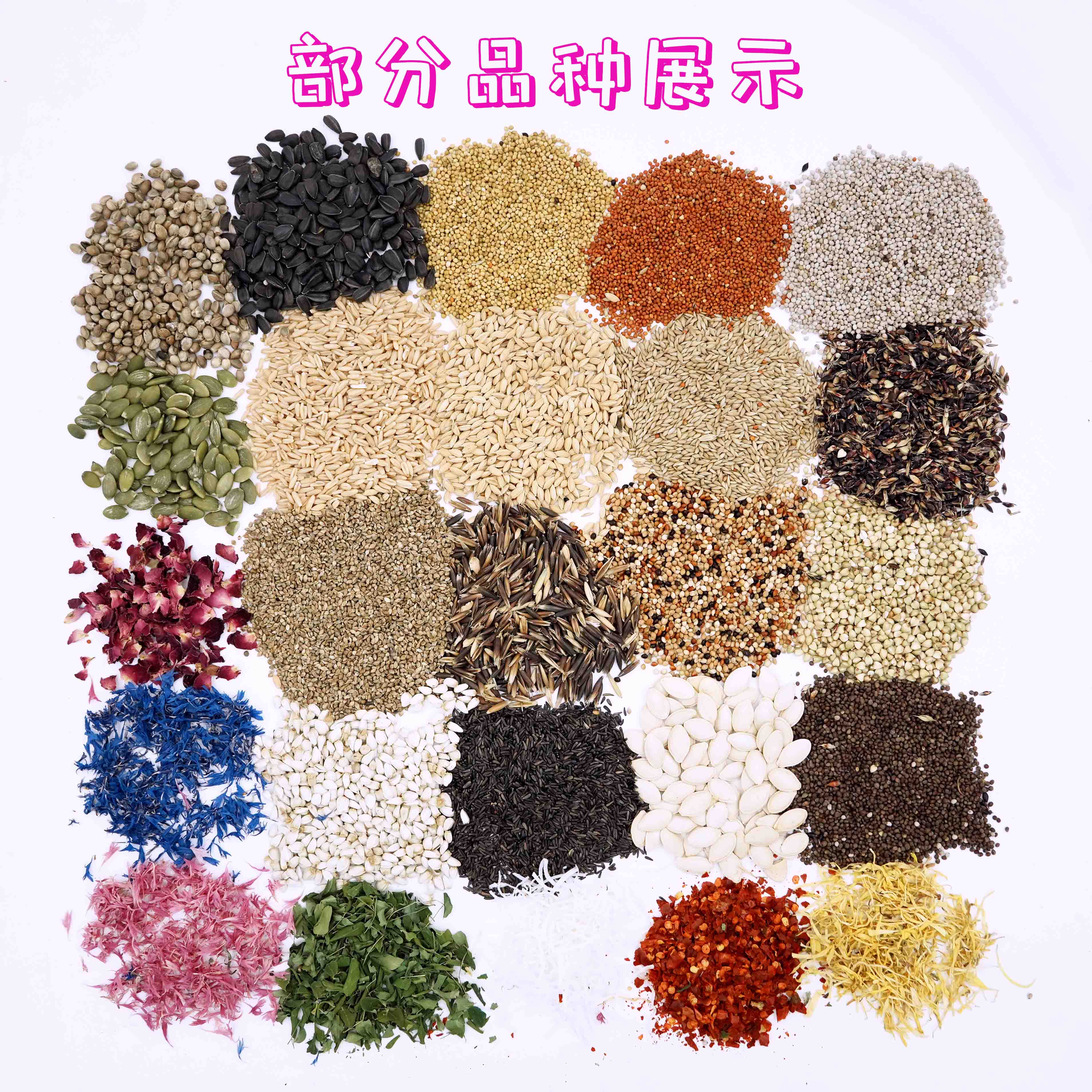 花草籽鹦鹉粮牡丹鹦鹉鸟粮玄凤鹦鹉花草带壳天然营养花草种子鸟粮