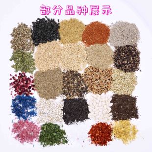 花草籽鹦鹉粮牡丹鹦鹉鸟粮玄凤鹦鹉花草带壳天然营养花草种子鸟粮