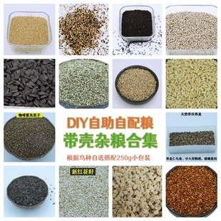 DIY自配粮鸟粮自助粮鹦鹉粮自选谷子黍子瓜子鸟食牡丹鹦鹉鸟饲料