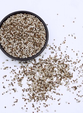 苏子鸟粮黄雀玉鸟白苏子紫苏子灰苏子混合麻料金丝雀多色苏籽饲料