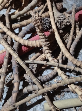 A异形密节竹鞭竹根烟杆烟斗制作原材料深山天然竹根鞭原材料DIY