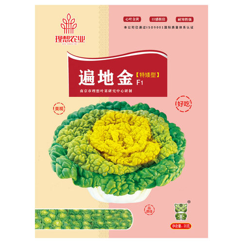 蔬菜种子青花菜鸡毛菜快菜红苋菜叶子四季娃娃菜大白菜理想种业