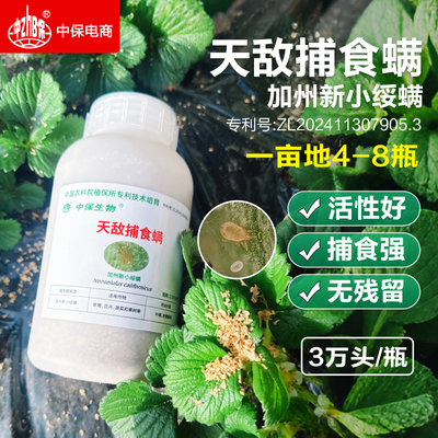 捕食螨 加州新小绥螨草莓大棚月季蔬菜生态种植红蜘蛛白蜘蛛天敌