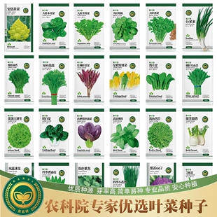 农科院蔬菜种子大全香菜黄瓜鸡毛菜番茄生菜白菜豆角易种种籽子