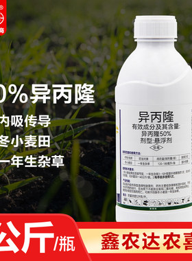 50％异丙隆悬浮剂早熟禾看麦娘菵草冬小麦田一年生杂草农用除草剂