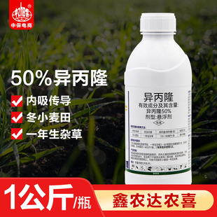 50％异丙隆悬浮剂早熟禾看麦娘菵草冬小麦田一年生杂草农用除草剂