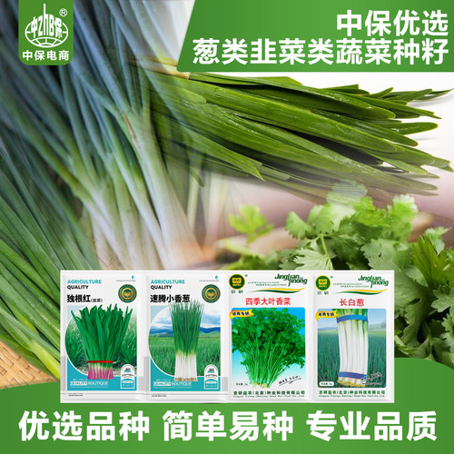 农科院葱种子韭菜四季大叶香菜小香葱铁杆大葱阳台大棚蔬菜籽孑